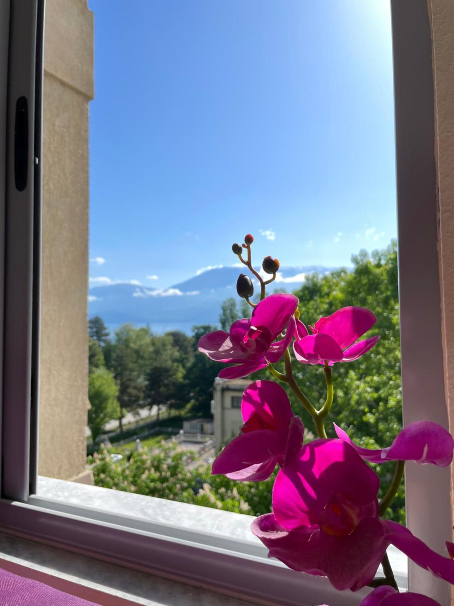 Lake View Pogradec Esterno foto